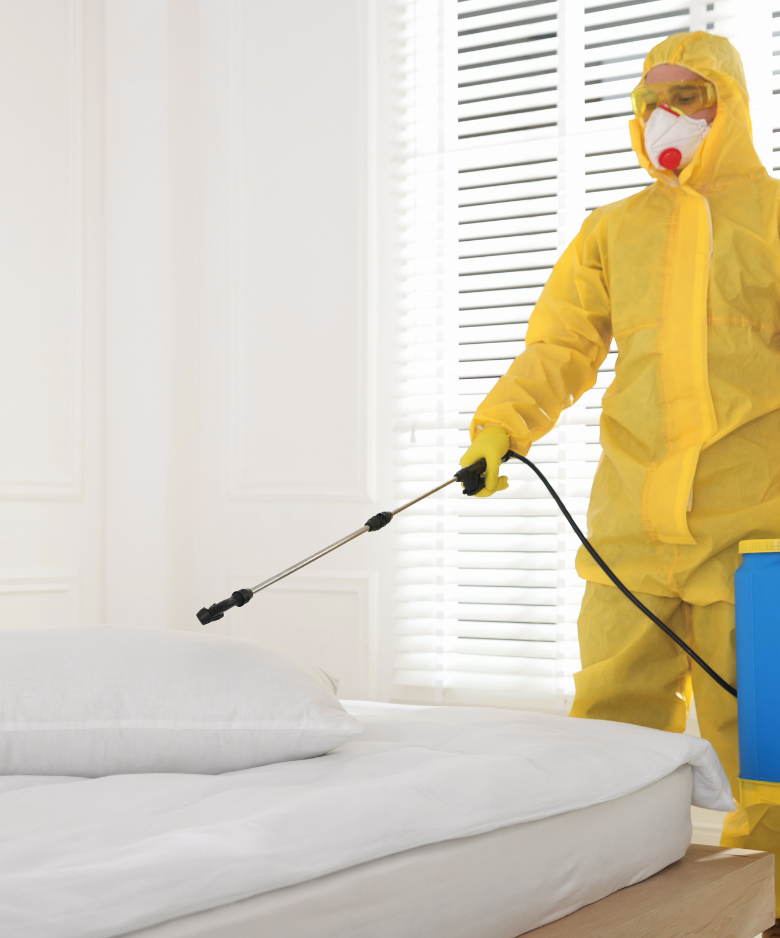 Professional Pest Control Team in Melrose Park